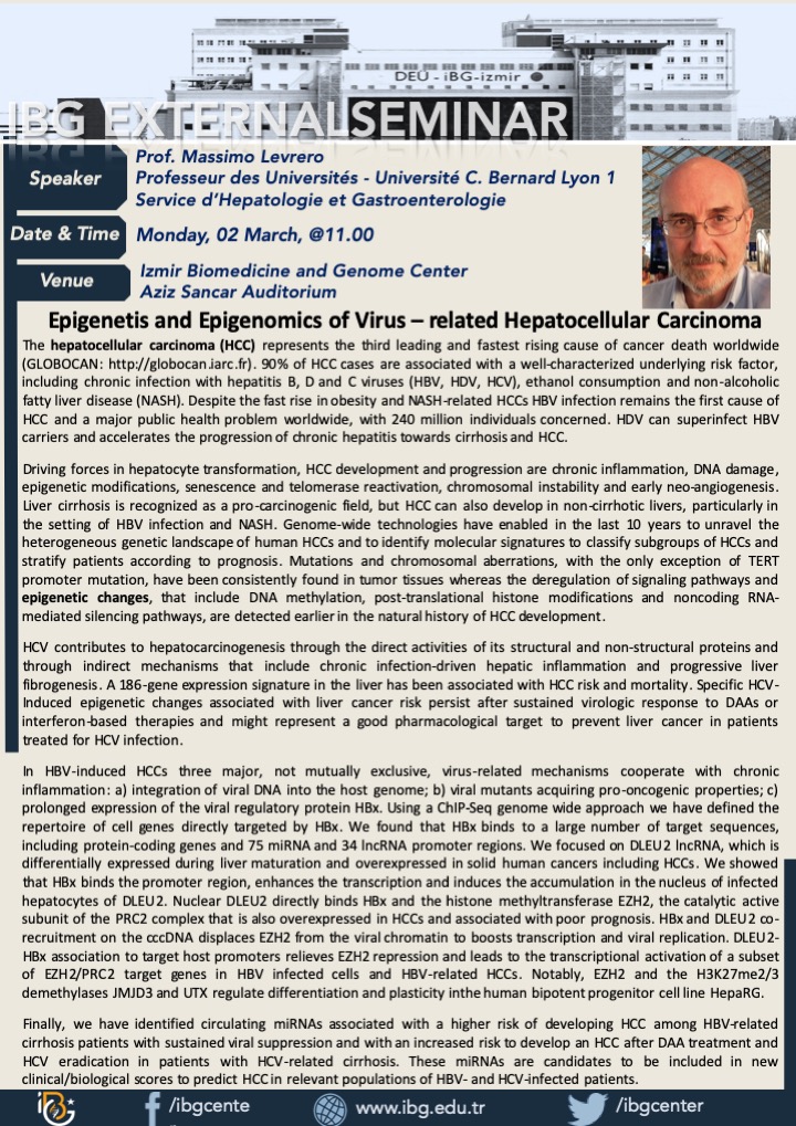 Epigenetics and Epigenomics of Virus-related Hepatocellular Carcinoma