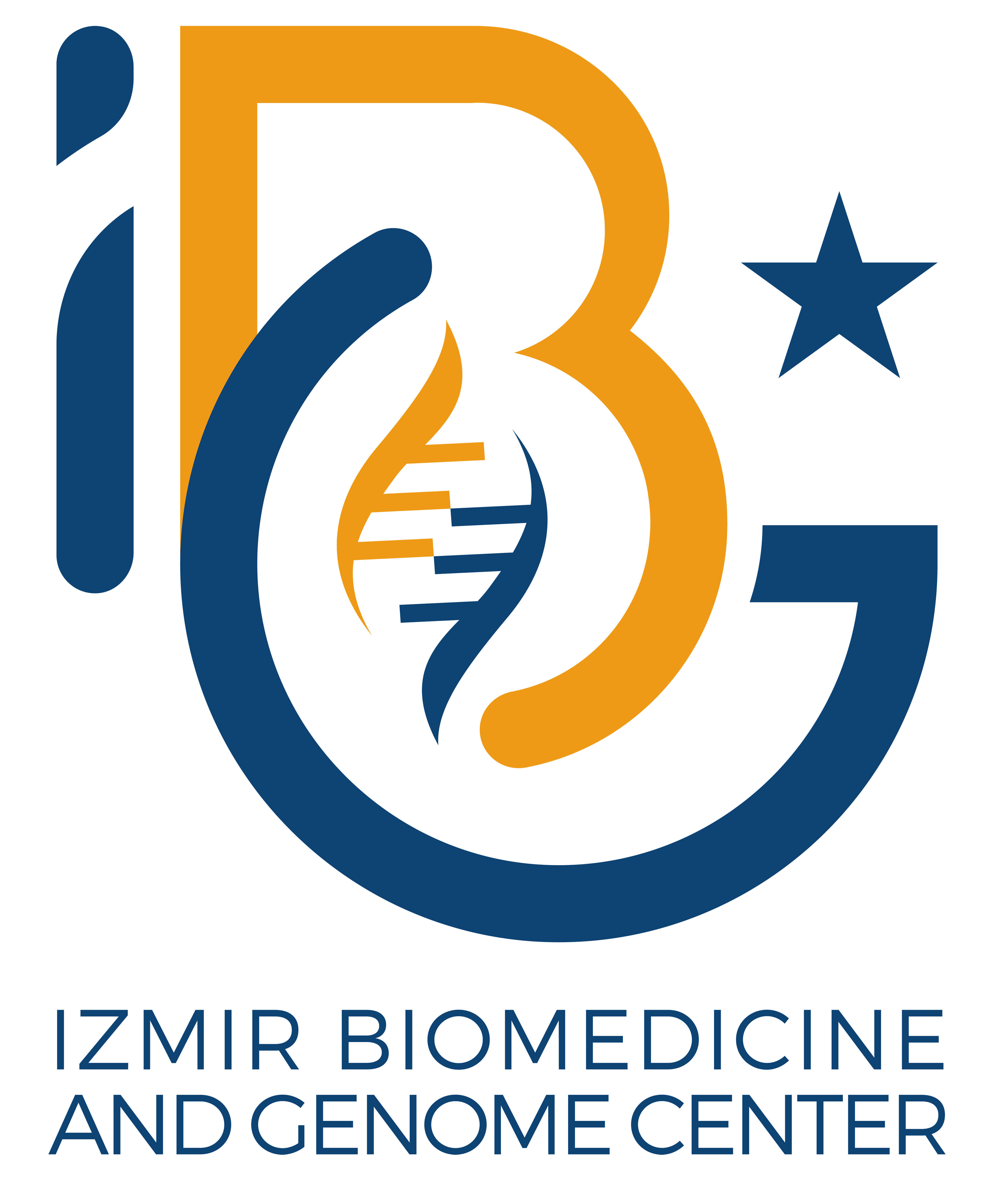 IBG Logo 4000 px