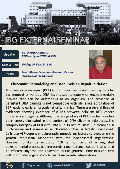 Chromatin Remodeling and Base Excision Repair Initiation