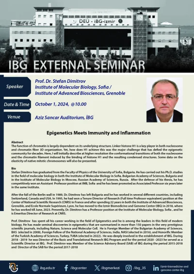 Epigenetics Meets Immunity and Inflammation