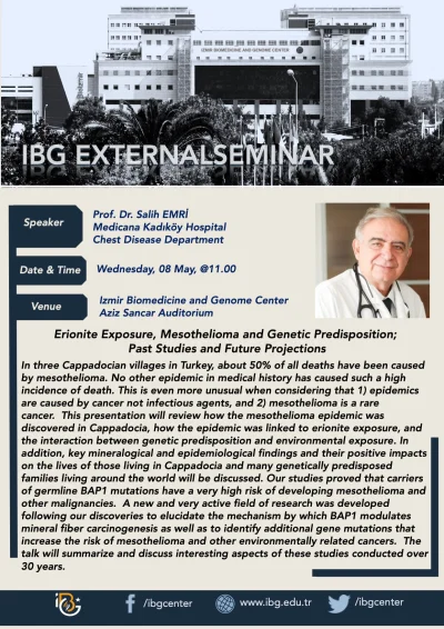 Erionite Exposure, Mesothelioma and Genetic Predisposition; Past Studies and Future Projections-en