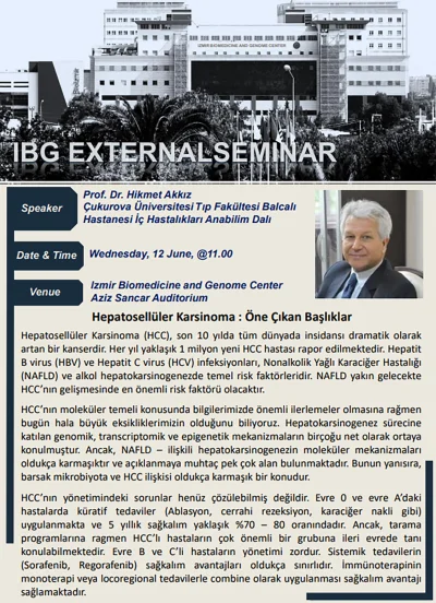 Hepatosellüler Karsinoma: Öne Çıkan Başlıklar