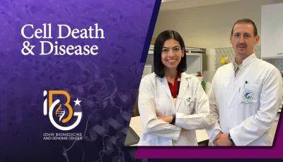 New therapeutic target for Mesothelioma identified by İBG researchers: BUB1