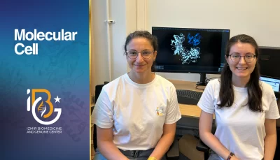 IBG researchers contribute to international mitochondrial study