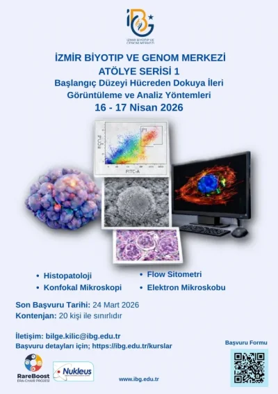 IBG Workshop Series 1 Advanced Imaging and Analysis Methods from Cell to Tissue — Beginner Level