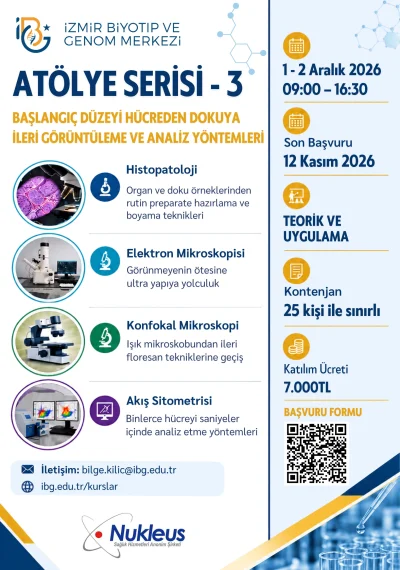IBG Workshop Series 3: Advanced Imaging and Analysis Methods from Cell to Tissue — Beginner Level