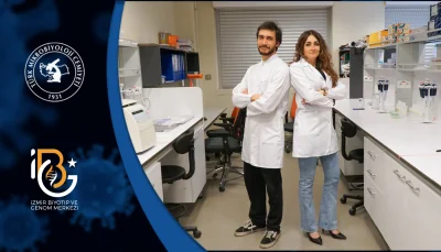 The role of demography, antigenic characteristics, and phylogenetic relationships in the epidemiology of influenza B viruses