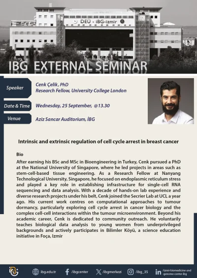 Intrinsic and extrinsic regulation of cell cycle arrest in breast cancer