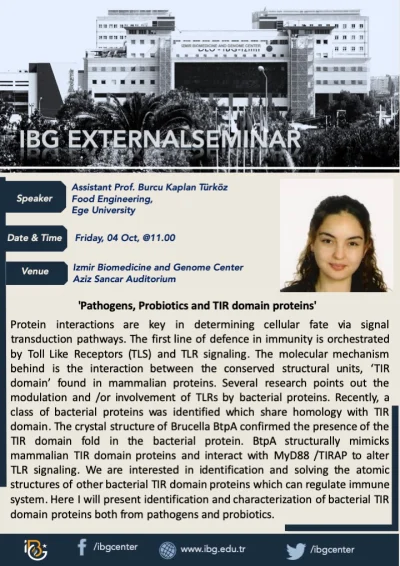 Pathogens, Probiotics and TIR Domain Proteins