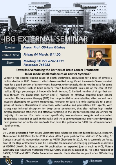 Towards Overcoming the Barriers of Brain Cancer Treatment: Tailor made small molecules or Carrier Systems?