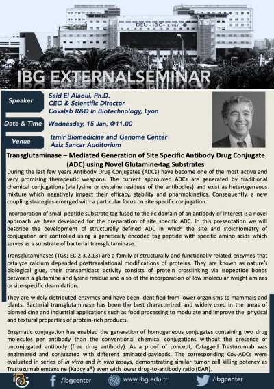Transglutaminase – Mediated Generation of Site Specific Antibody Drug Conjugate (ADC) using Novel Glutamine-tag Substrates