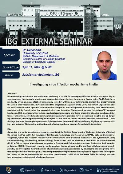 Investigating virus infection mechanisms in situ